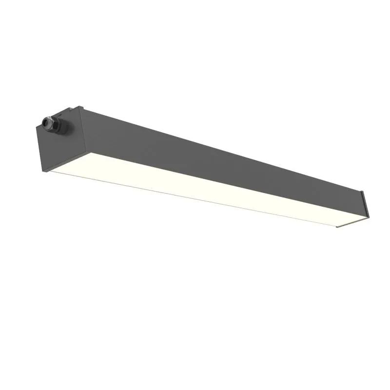 IP66 선형 건축 조명 검정