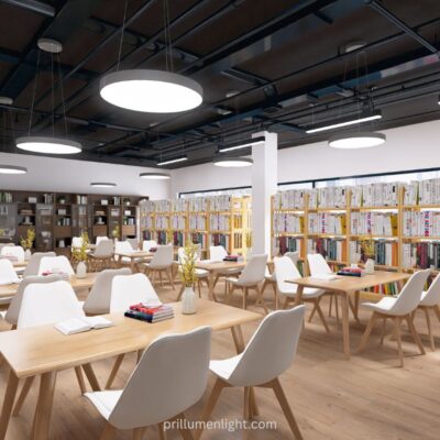 multi ring pendant light application