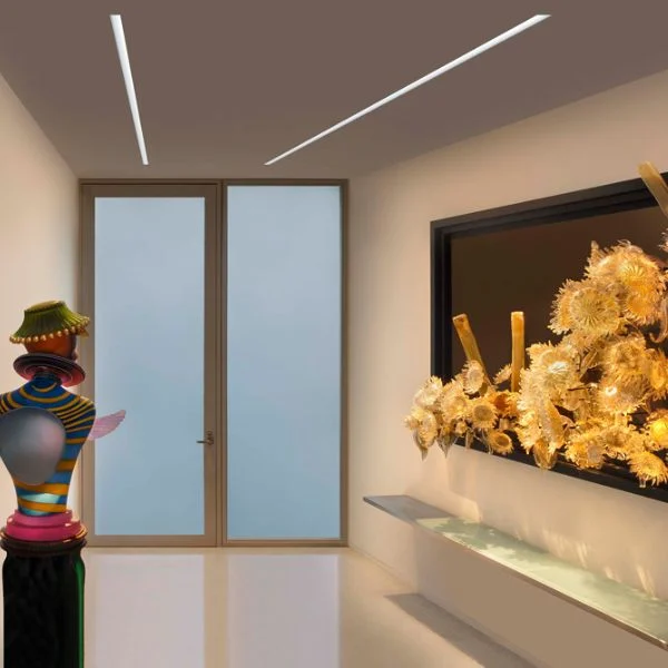 Fornecedor de lavagem de parede linear embutida