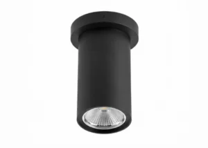Surface Mount Cylinder Light