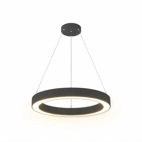 Circular LED ring pendant light