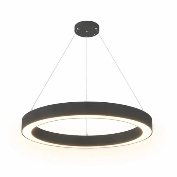 Direct indirect ring pendant light