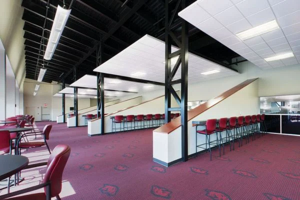 AERO direct indirect pendant light commercial application