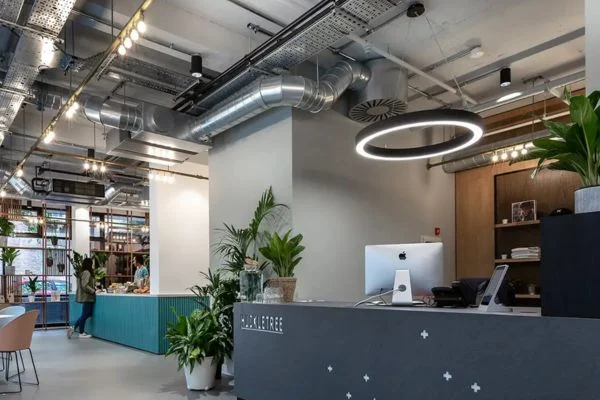 Ring pendant lighting in commercial interior
